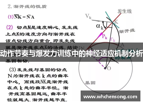 动作节奏与爆发力训练中的神经适应机制分析