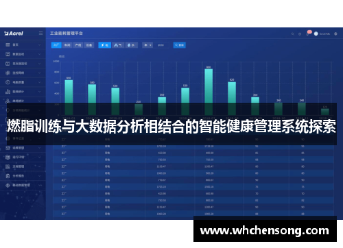燃脂训练与大数据分析相结合的智能健康管理系统探索