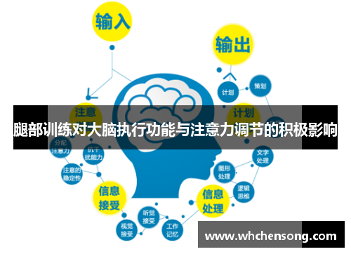腿部训练对大脑执行功能与注意力调节的积极影响